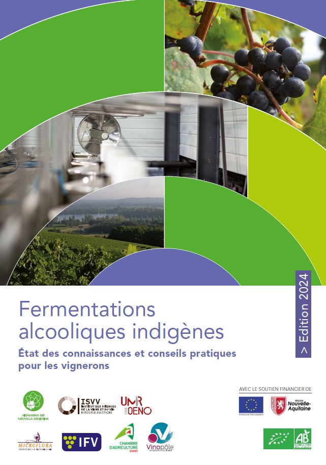 les fermentations alcooliques indigènes