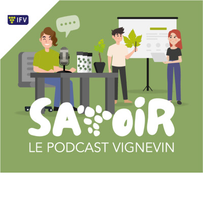 savoir le podcast vignevin